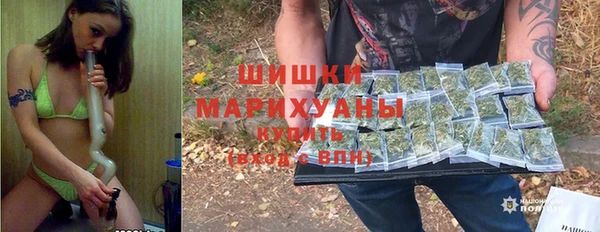 прущие грибы Бугульма