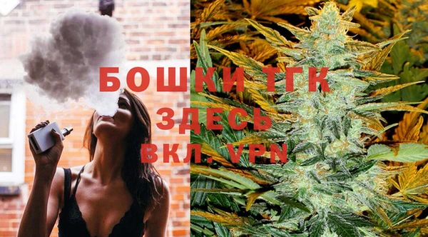 прущие грибы Бугульма