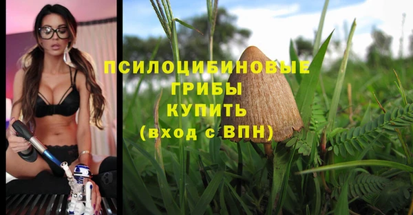 прущие грибы Бугульма