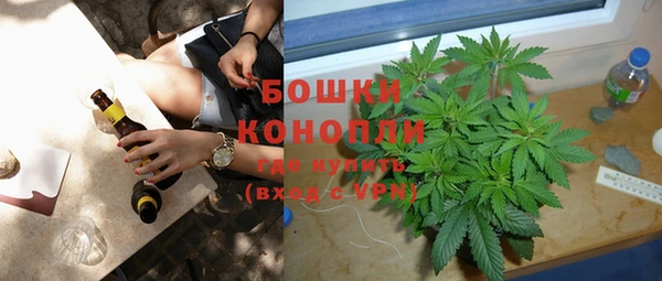 прущие грибы Бугульма
